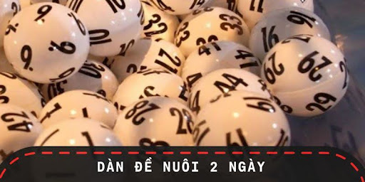 Dàn Đề Nuôi 2 Ngày - Chiến Lược Soi Cầu Vô Cùng Hiệu Quả